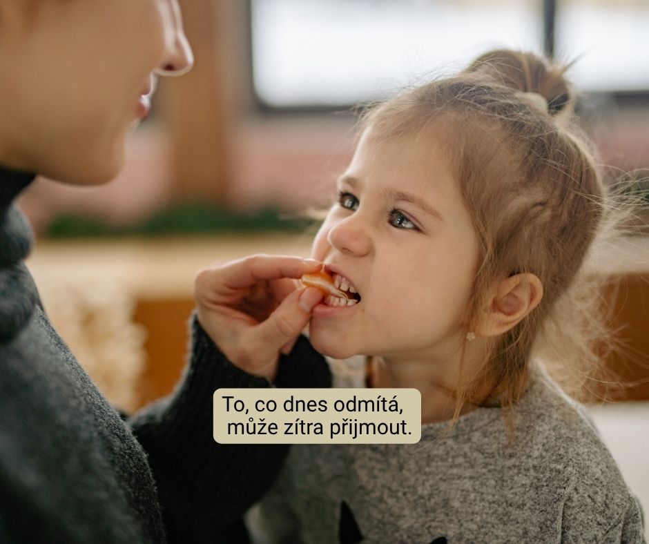 problémy dětí s PAS s jídlem, článek